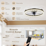 Ceiling Fans With Lights And Remote & App Control For Bedroom | Black