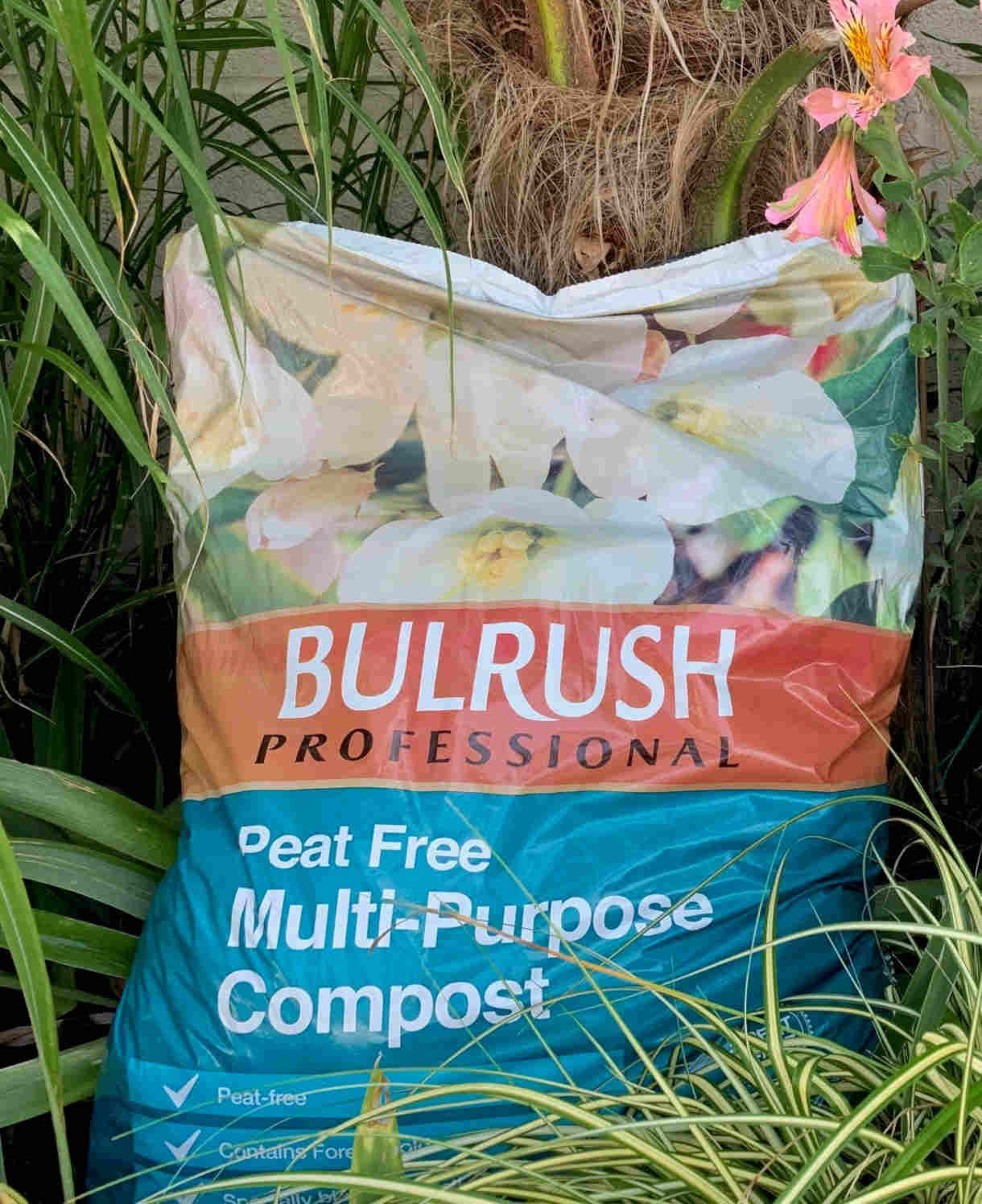 Bulrush Peat Free Compost- 40 Litre Bag | Set-of-2