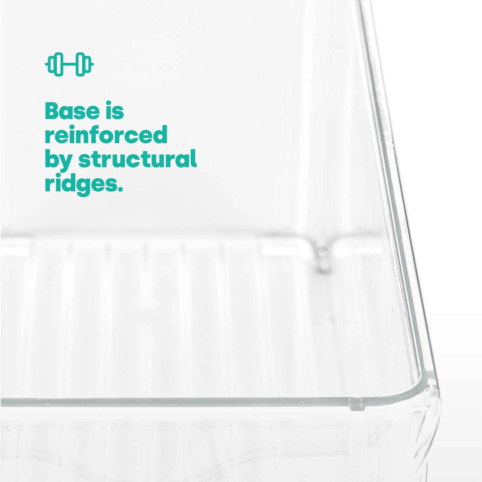 Fridge Storage Medium Containers Set Of 2