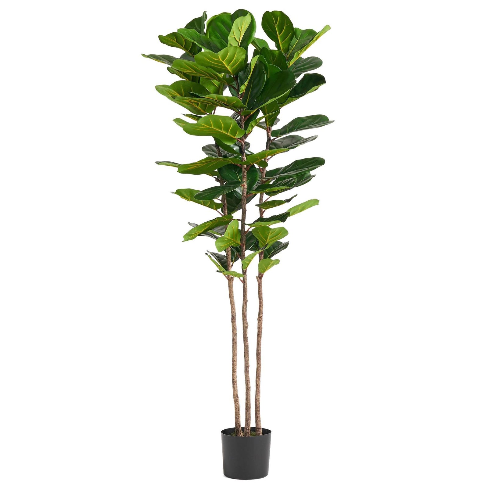 180cm Artificial Fiddle Leaf Fig Tree Premium