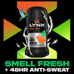 Antiperspirant Deodorant Stick 48h Odour Protection Jungle Fresh 50ml | Set of 24