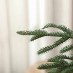 Christmas Tree, Full Spruce Xmas Tree, Easy Assembly | 5ft | Green
