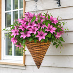Hayloft Clematis Elodi & Free Willow Cone Basket