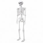 Yezi Halloween Skeleton Life Size 185cm Posable Joints Haunted House Patio White