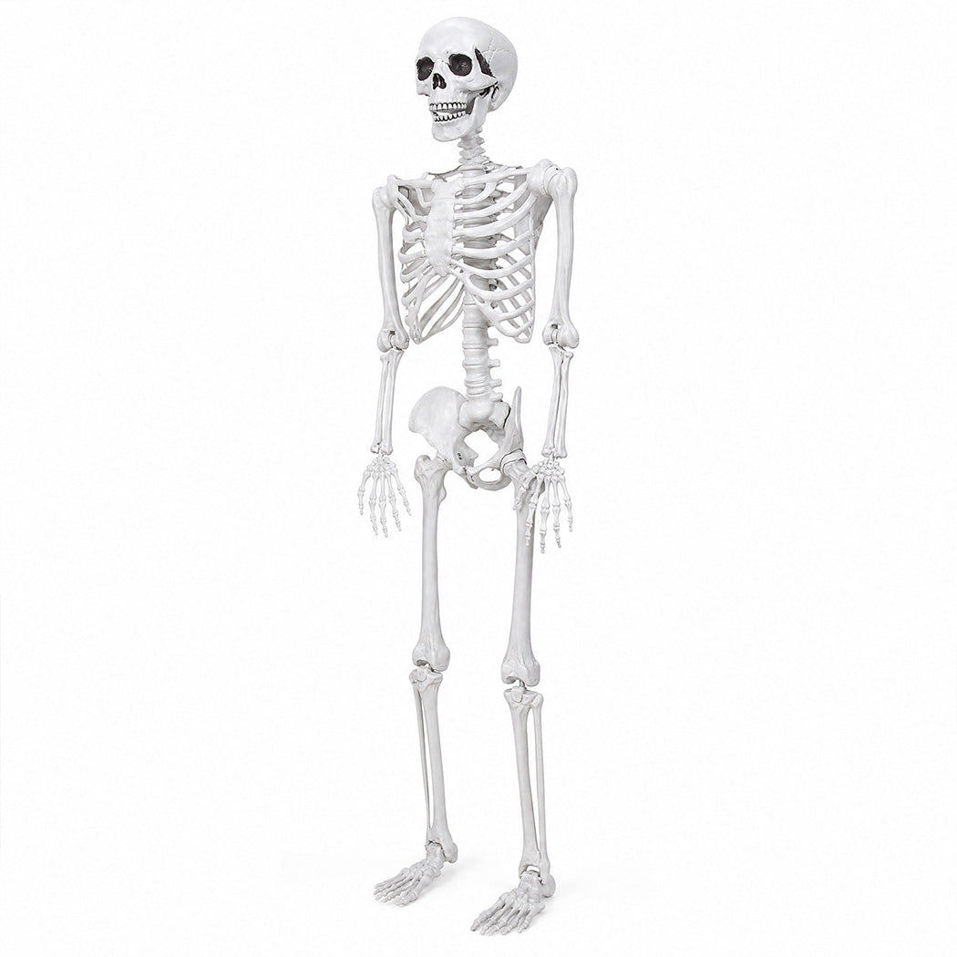 Yezi Halloween Skeleton Life Size 185cm Posable Joints Haunted House Patio White