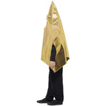 Shining Star Costume