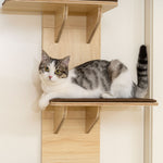 4-level Cat Tree Door Mounted With Washable Plush Pads, Toy Ball