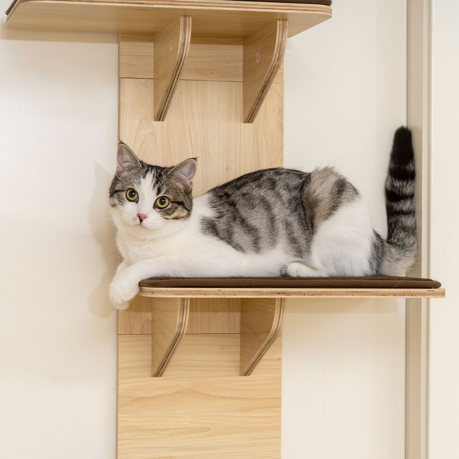 4-level Cat Tree Door Mounted With Washable Plush Pads, Toy Ball