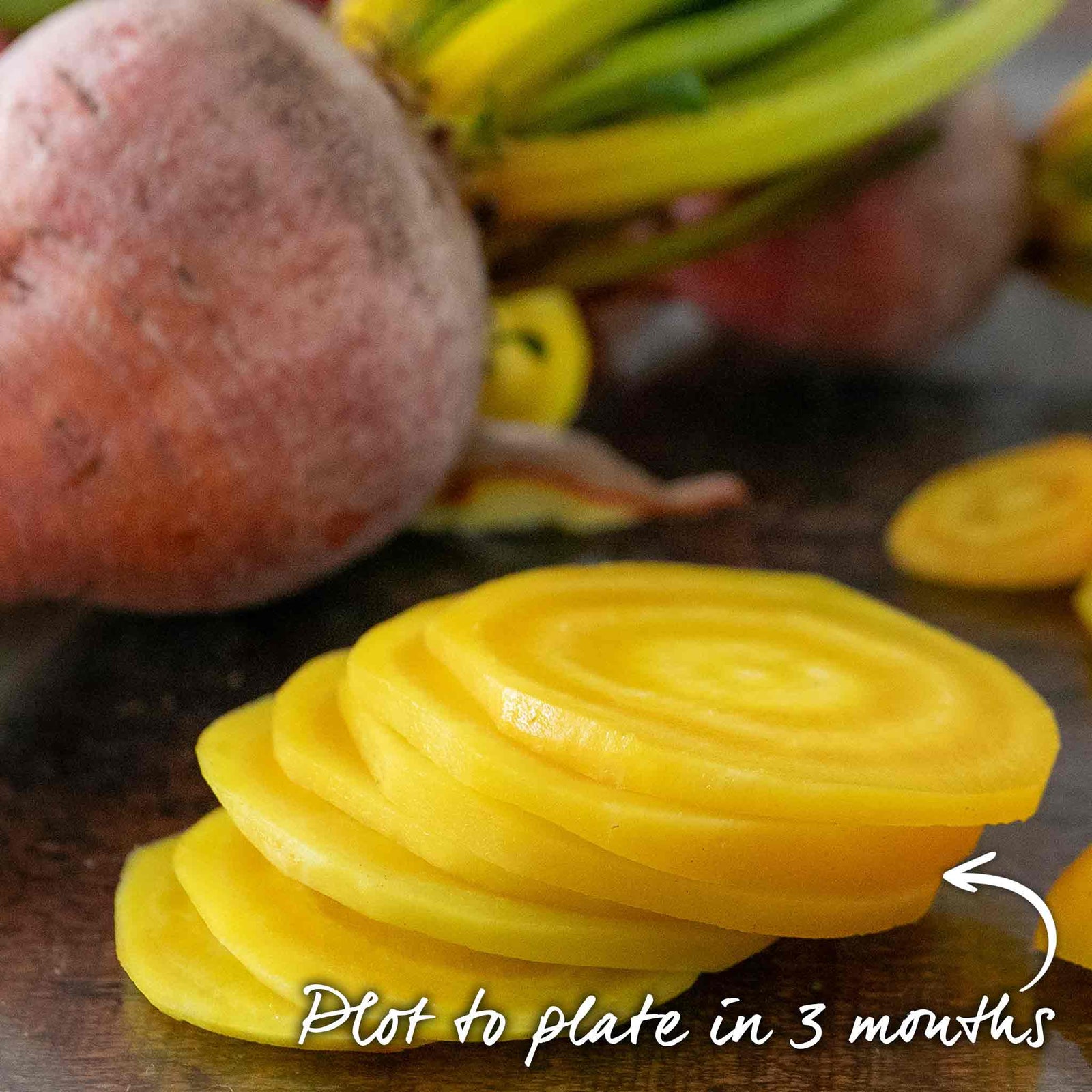 Burpees Golden Beetroot | 100 Seeds