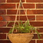 30cm Hanging Baskets Pack Of 2