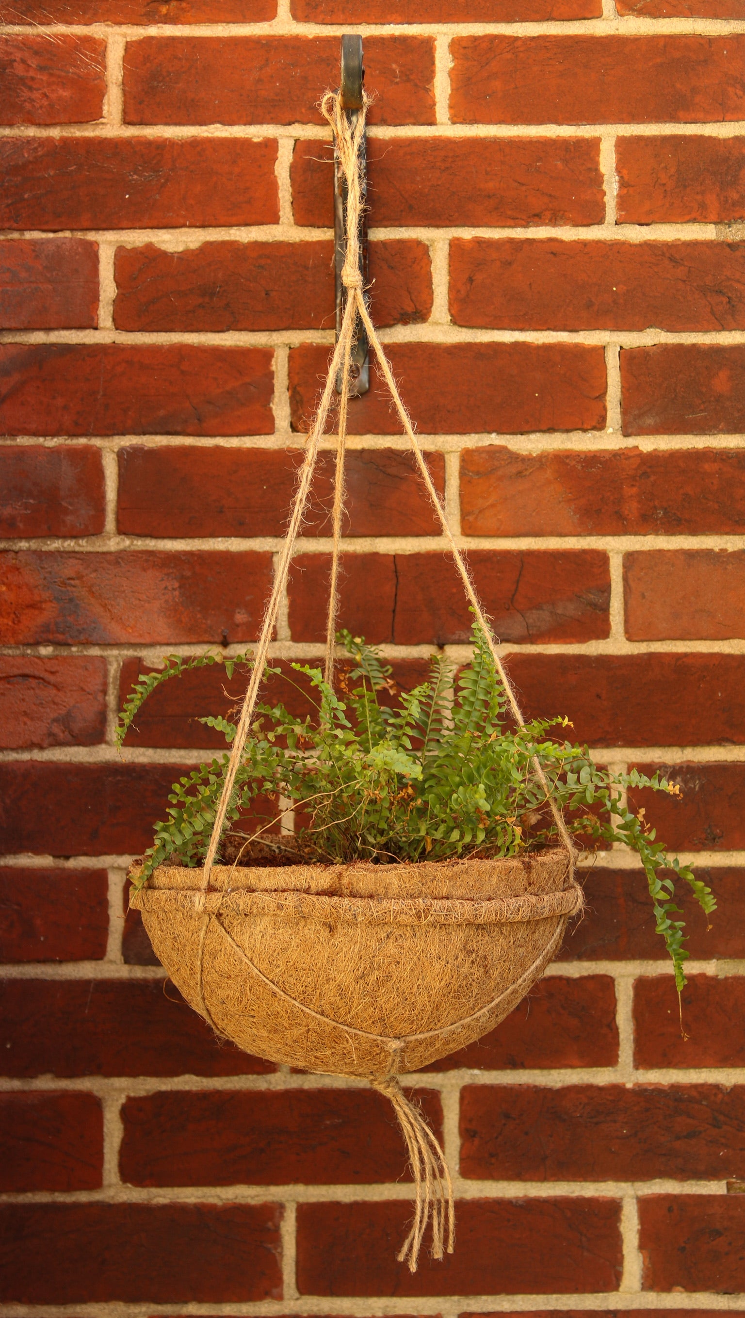 30cm Hanging Baskets Pack Of 2