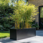 Zinc Galvanised Trough Planter | 100cm x 40cm x 40cm | Matte Black