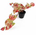 Artificial Hanging Trailing Plant Plant Pink Splash Caladium Botanik