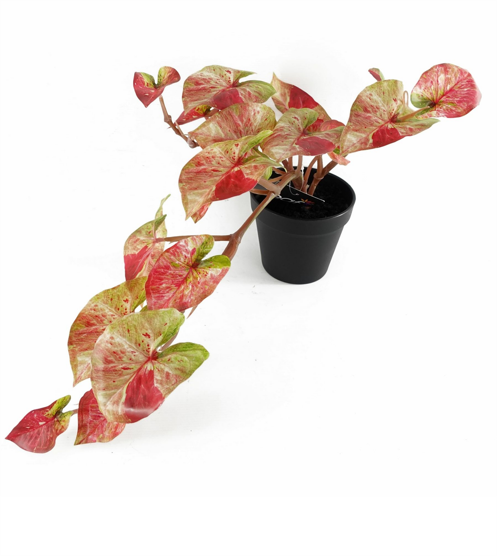 Artificial 35cm Trailing Hanging Plant Realistic Pink Splash Caladium