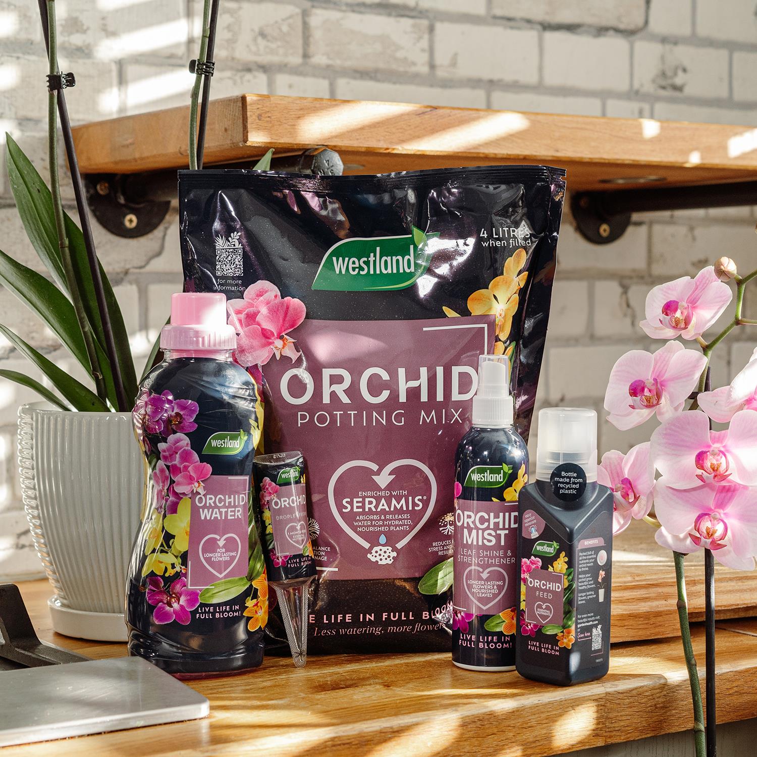 Orchid Potting Mix Peat Free Enriched With Seramis, 8 Litre