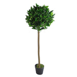 Pair Of 120cm (4ft) Plain Stem Artificial Topiary Bay Laurel Ball Trees