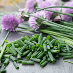 Chive Plant (allium Schoenoprasum) - Hardy 30cm Perennial Herb For Containers And Gardens | 9 x 9cm | Purple