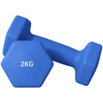 Set Of 2 Hexagonal Dumbbells Weights Pair | Medium | Blue