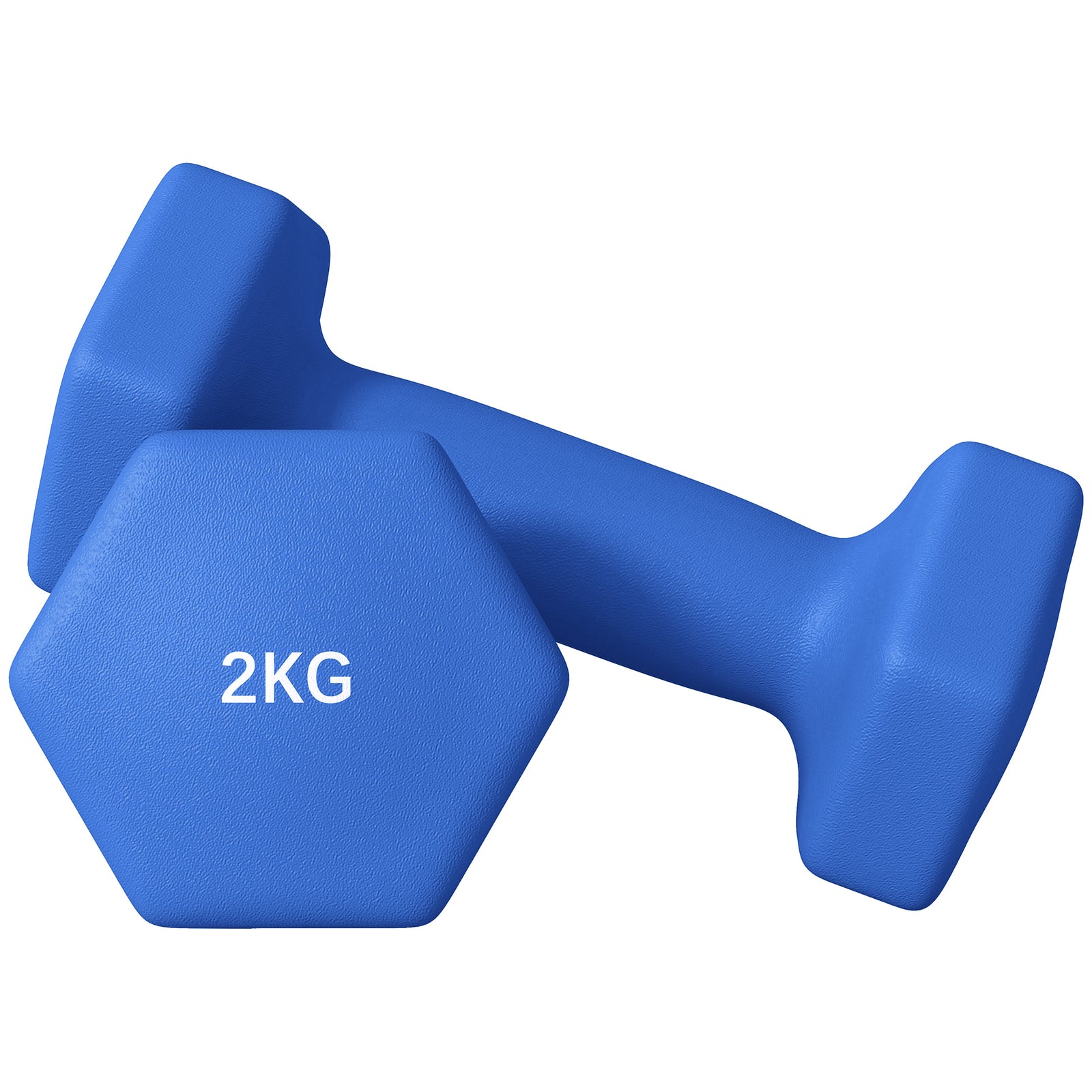 Set Of 2 Hexagonal Dumbbells Weights Pair | Medium | Blue