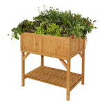 Raised Wooden Planter