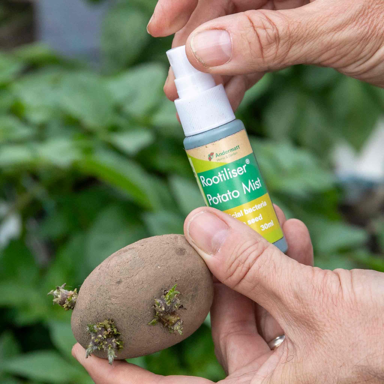 Rootiliser Potato Mist With Bacillus Atropheus Abi05 Mist Bottle