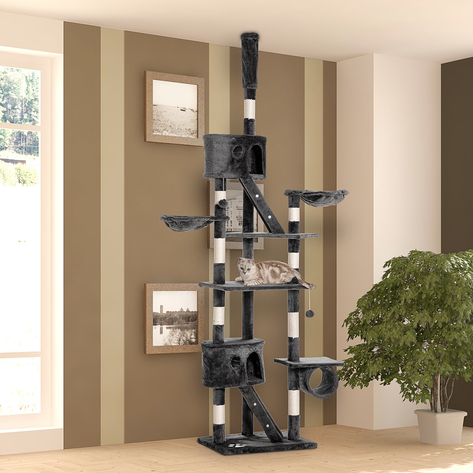 240-260cm Floor To Ceiling Cat Tree With Scratching Posts | Dark Gray