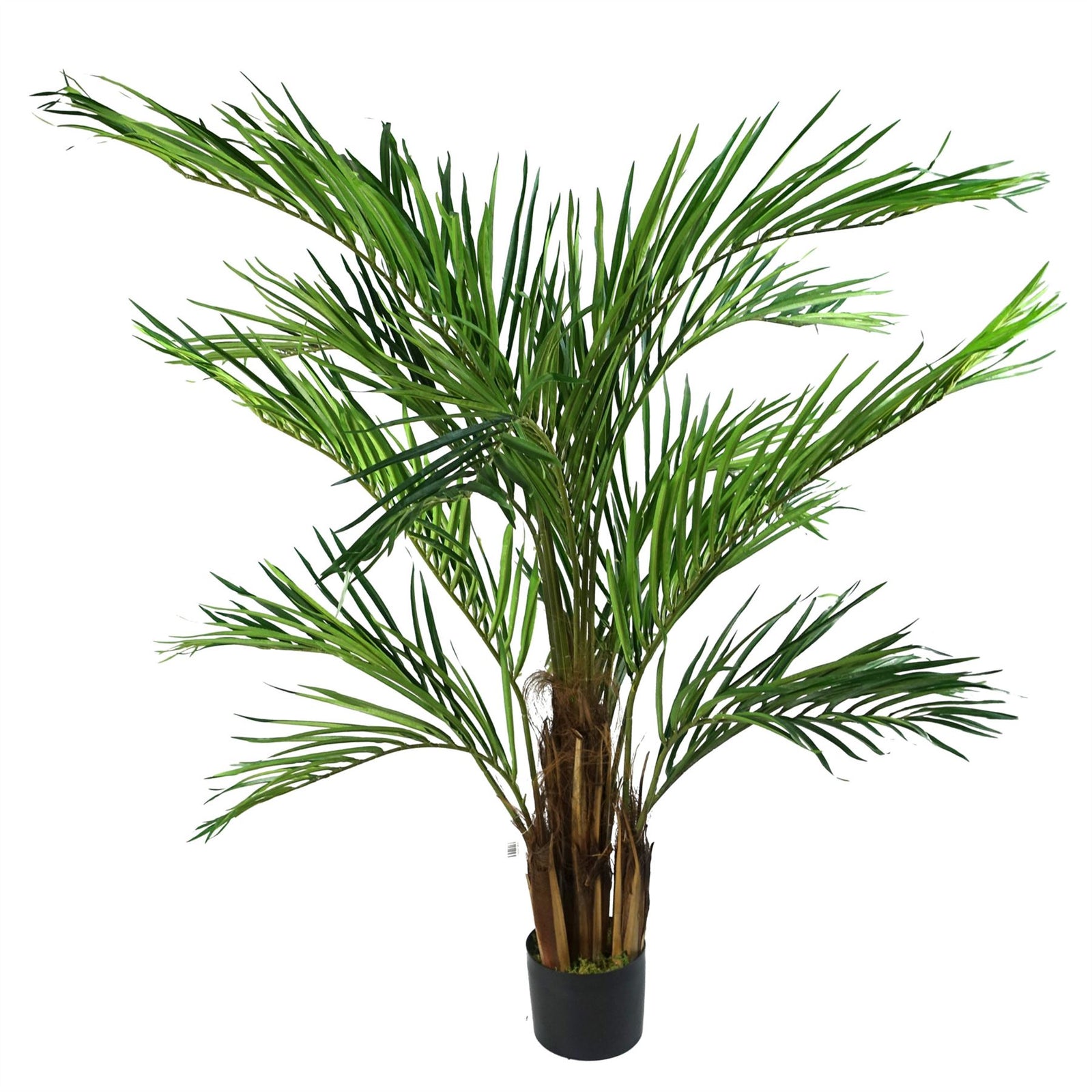 Areca Palm Natural Artificial Tree 150cm  - Realistic Plant By Botanik
