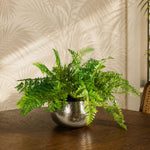 Large Artificial Ferns Display With Xl Metal Silver Bowl Planter 50x65cm