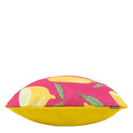 Fruit Print Set Of 4 Outdoor Cushion