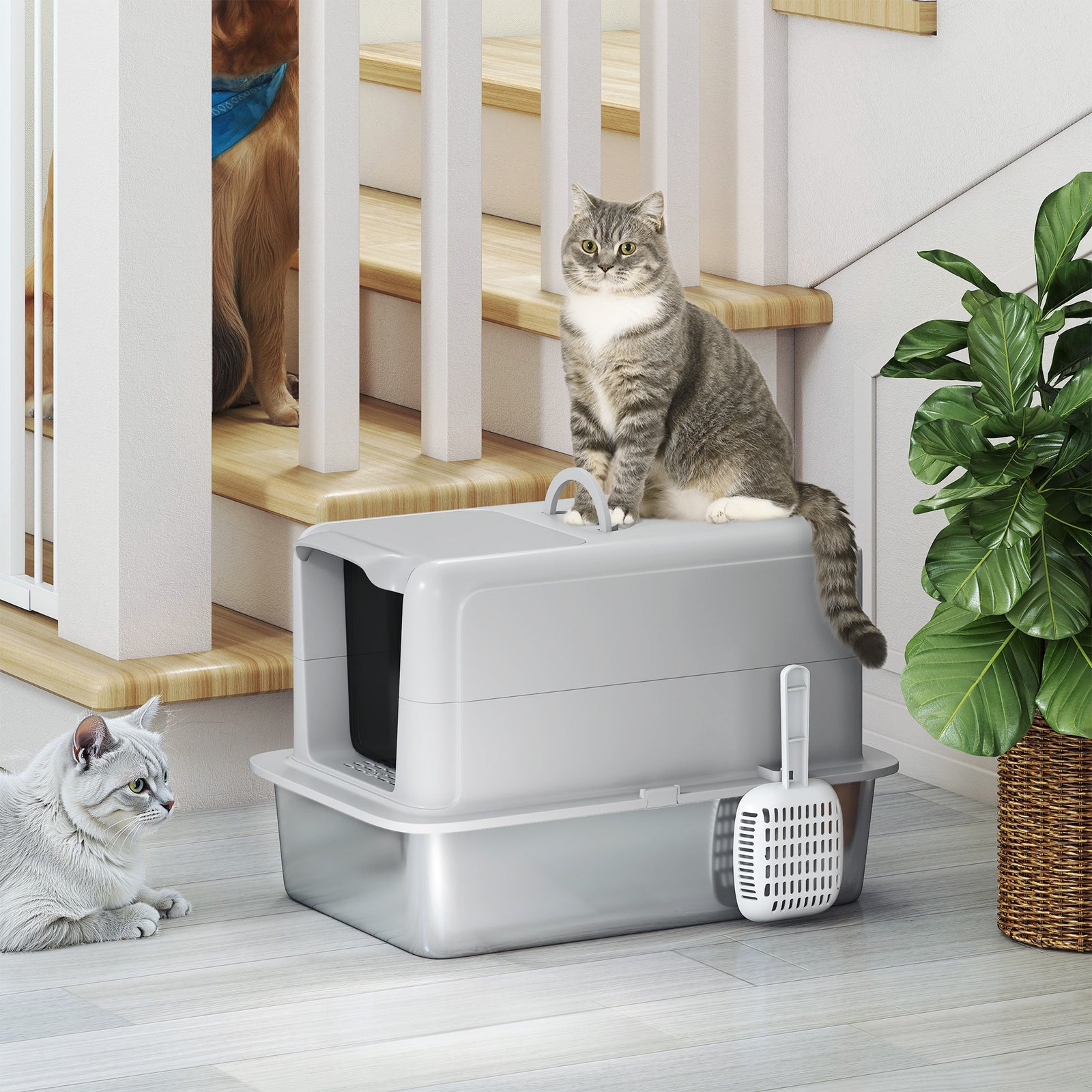 Stainless Steel Cat Litter Box With Removable Lid, Scoop, Grey | Grey