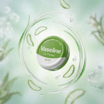 Vaseline Lip Therapy Petroleum Jelly, Aloe Vera 20gm Hydrating Lip Balm
