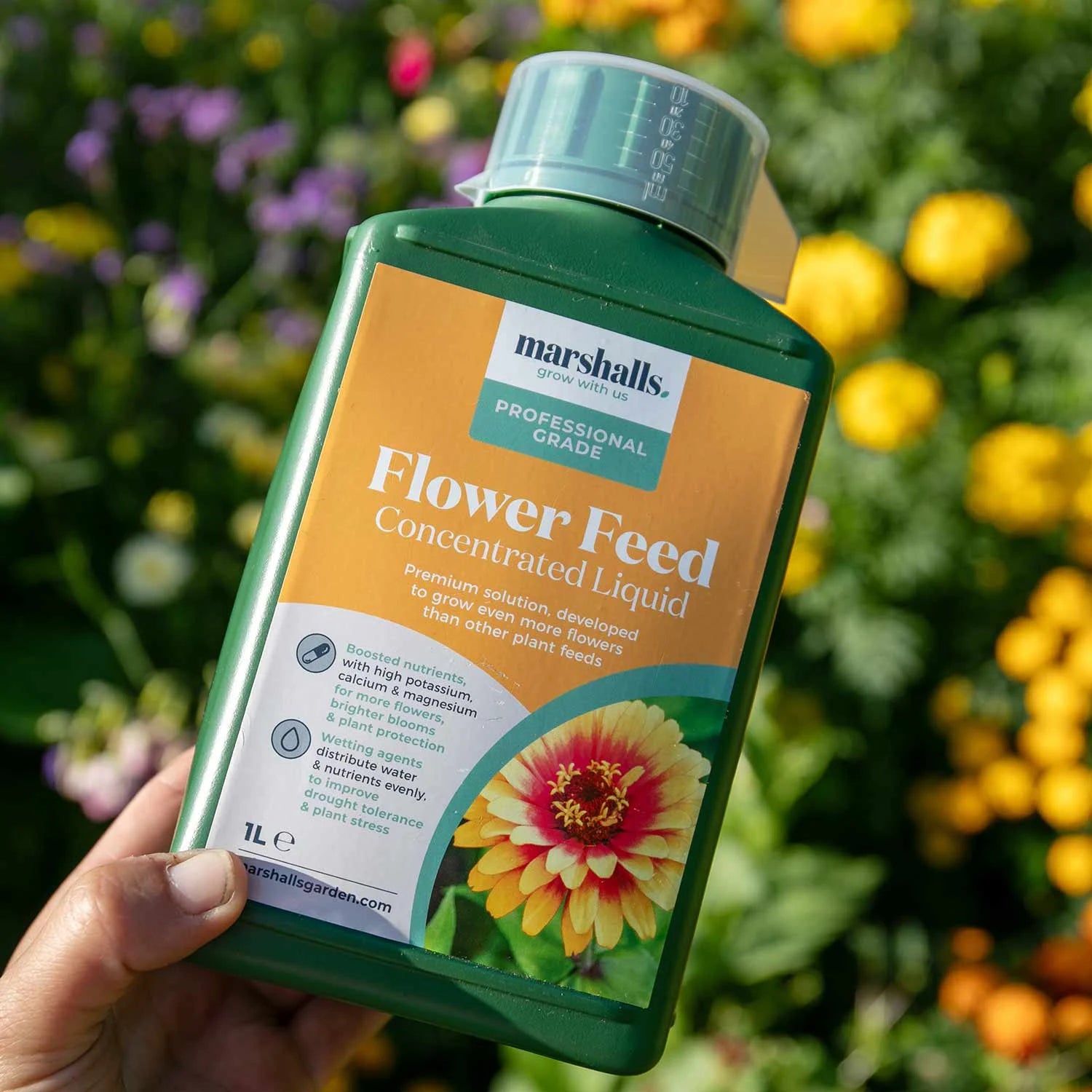 The Ready-to-Plant Summer Basket Kit – Everything You Need