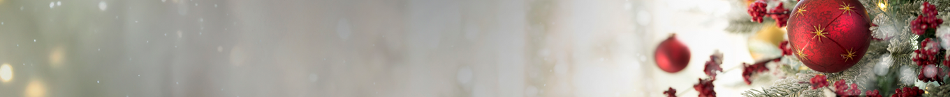 Christmas Trees & Decs