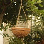 30cm Hanging Baskets Pack Of 2