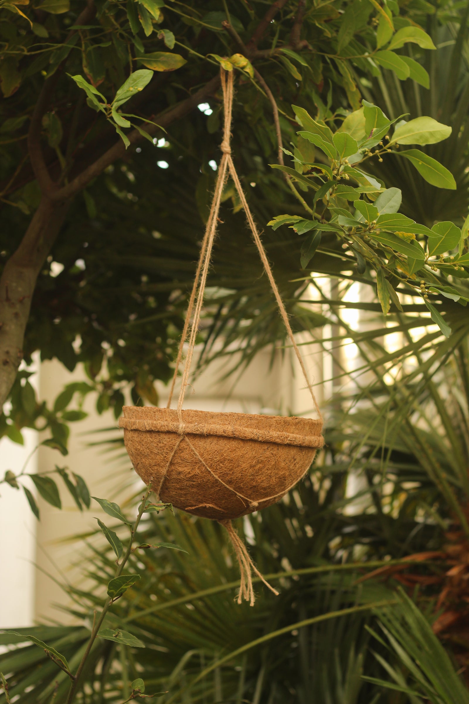 30cm Hanging Baskets Pack Of 2