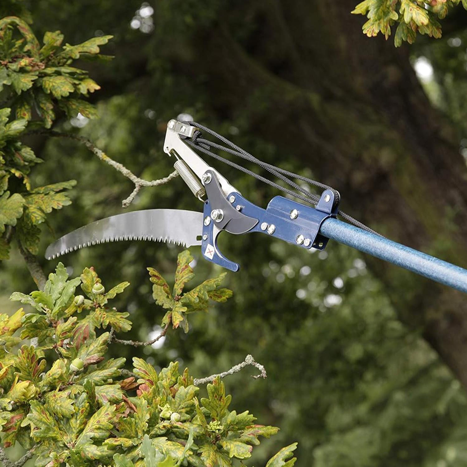 Razorsharp Lightweight Telescopic Tree Pruner, Black