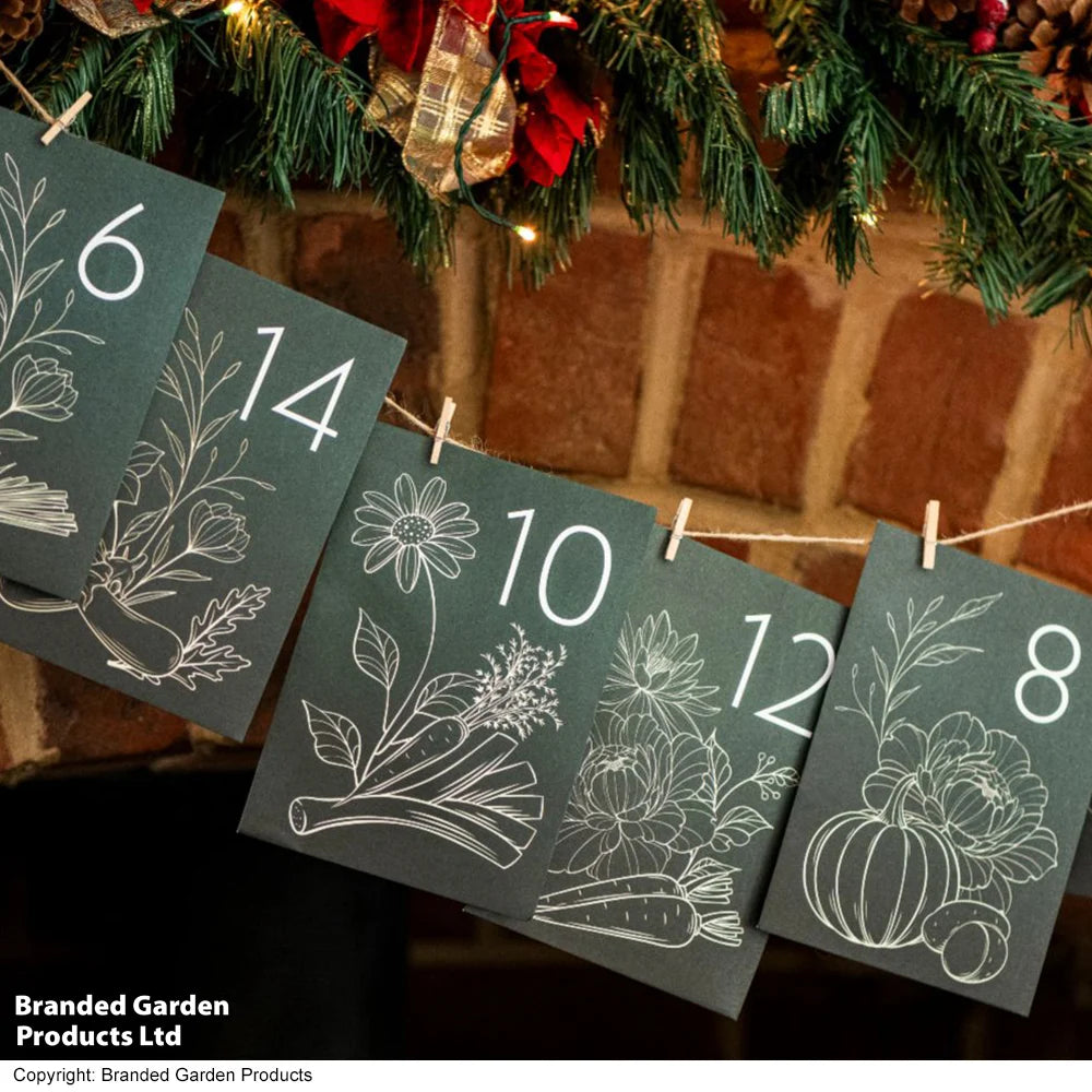 Diy Flower Seed Advent Calendar - Christmas