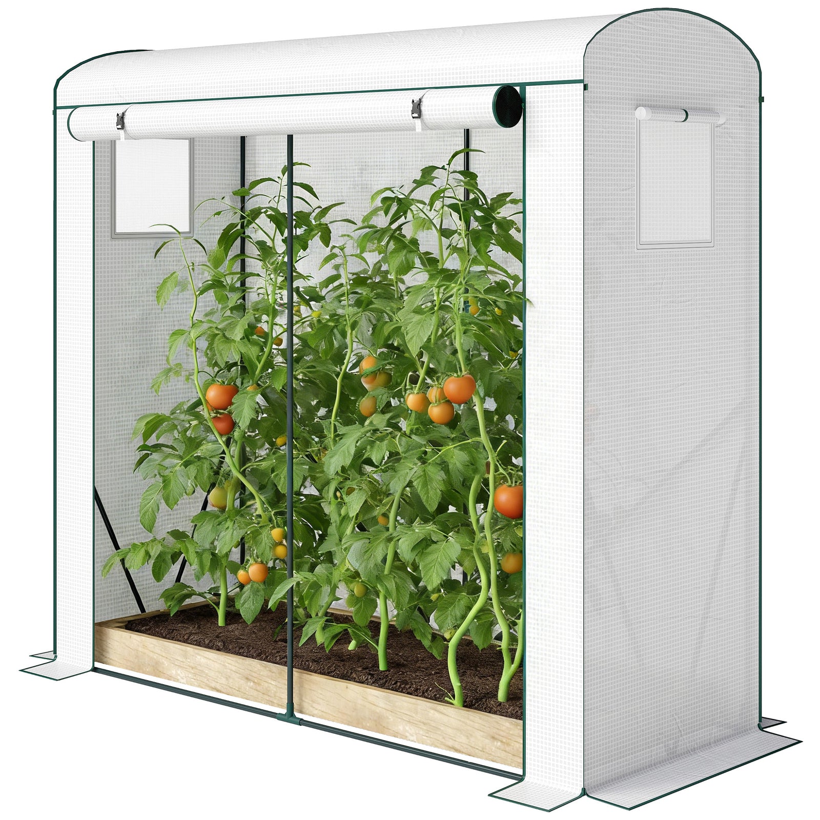 Mini Greenhouse, Portable Indoor Outdoor Green House With Pe Cover | White