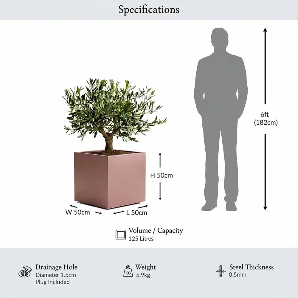 Zinc Galvanised Square Planter | 50cm x 50cm x 50cm | Rose Gold