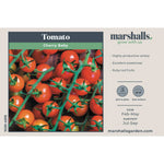 Cherry Baby Tomato Seeds | 20 Seeds
