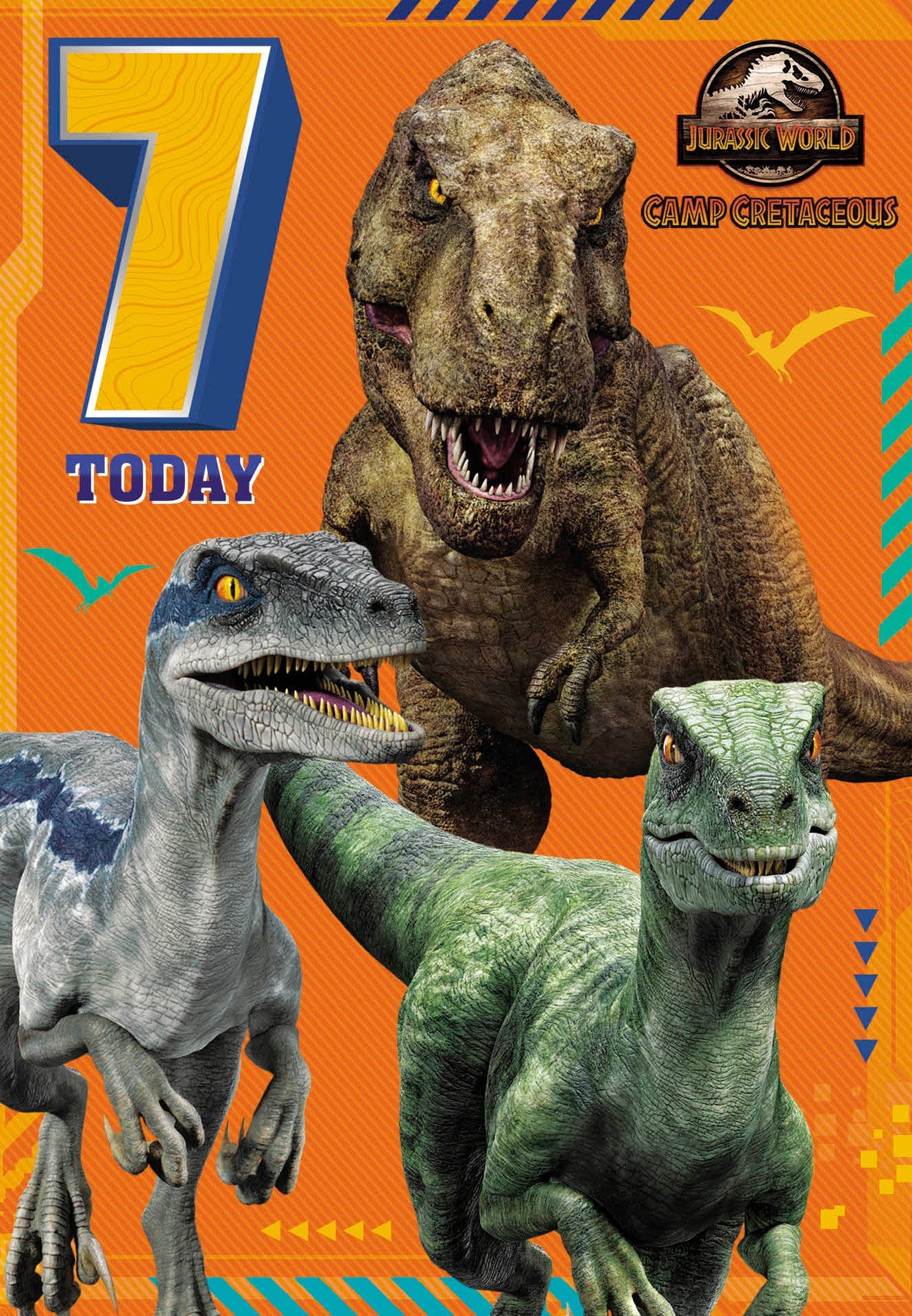 Age 7 Birthday Card Official Product