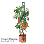 Self-watering Tomato Tower | Set of 1