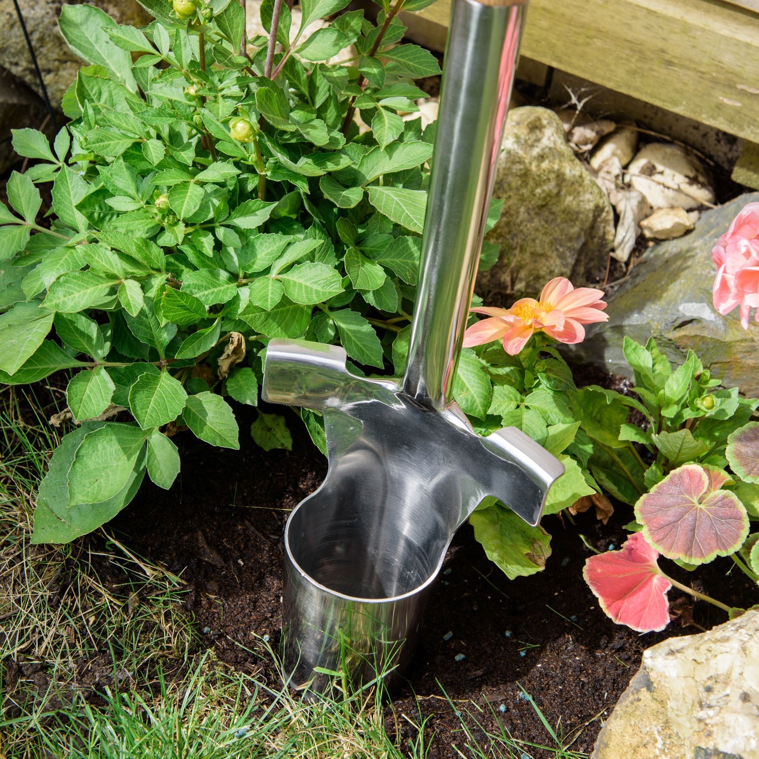 Long-handled Stainless Steel Bulb Planter | 100cm
