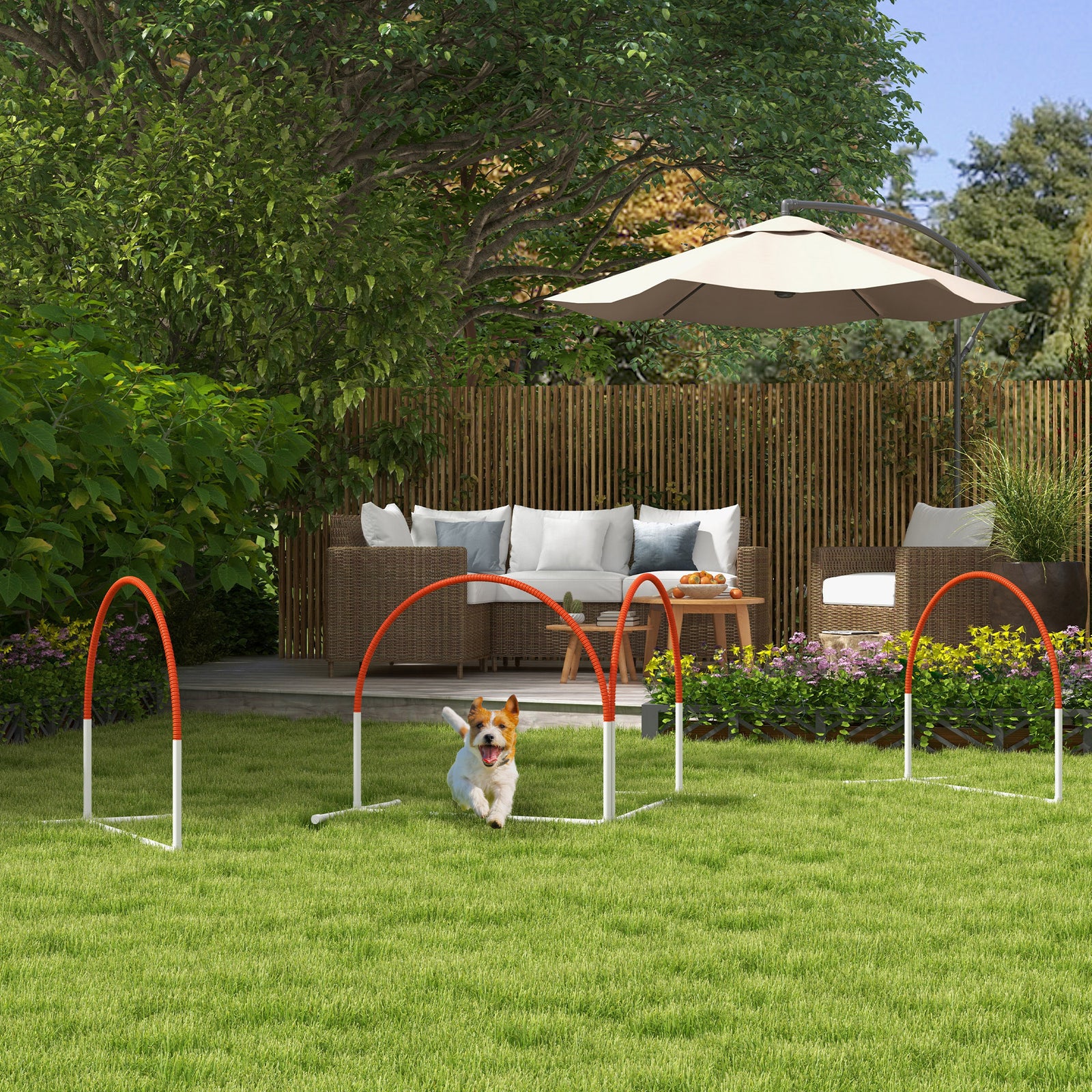Dog Agility Equipment Set With 4 Pcs Weave Pole, Orange