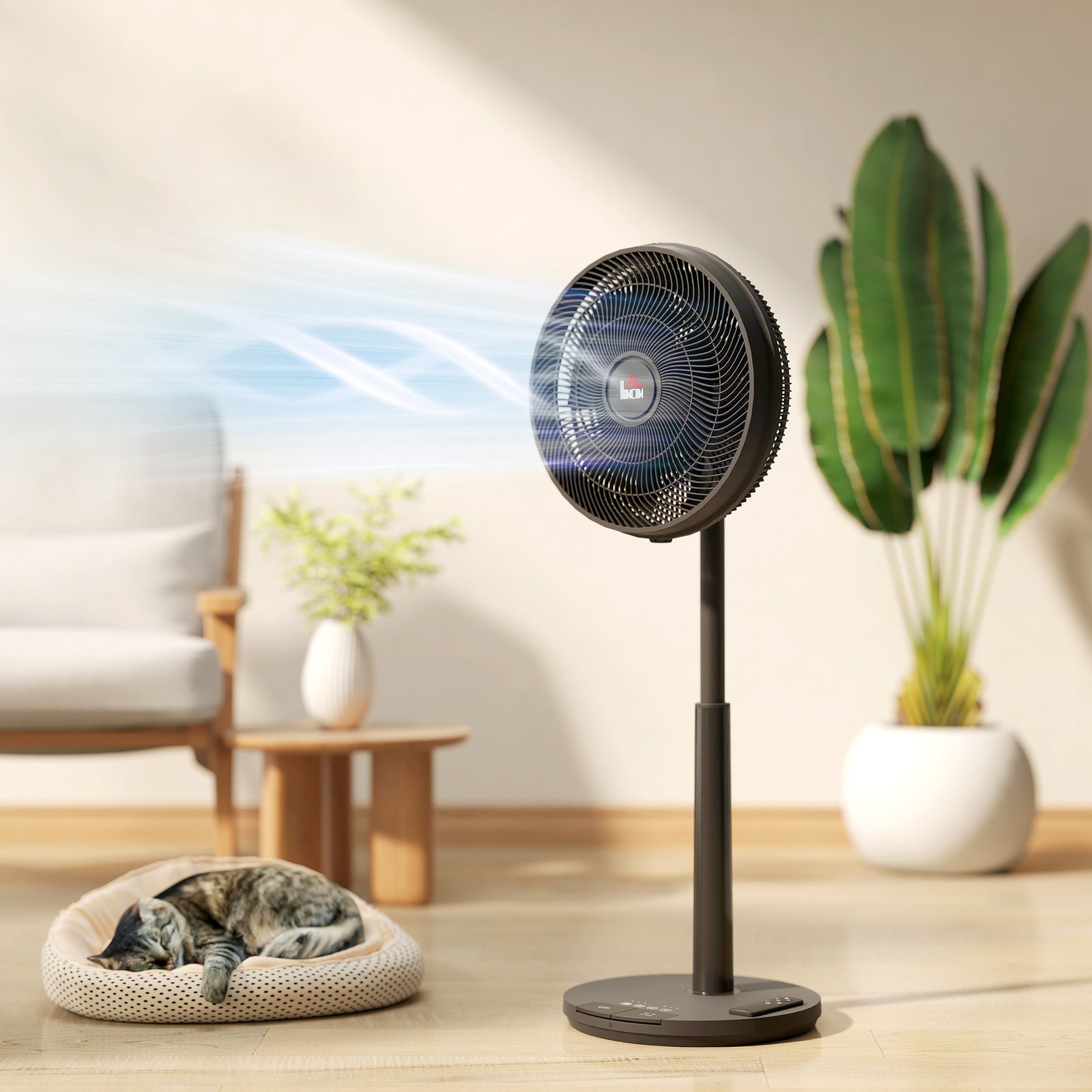 Pedestal Fan With Oscillating, Tilt, Adjustable Height Timer | One Size | Black