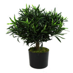 Realistic Artificial Bush Plant 40cm Podocarpus - Realistic Plant By Botanik