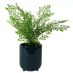 15cm Dark Teal Green / Blue Ceramic Planter With Feet
