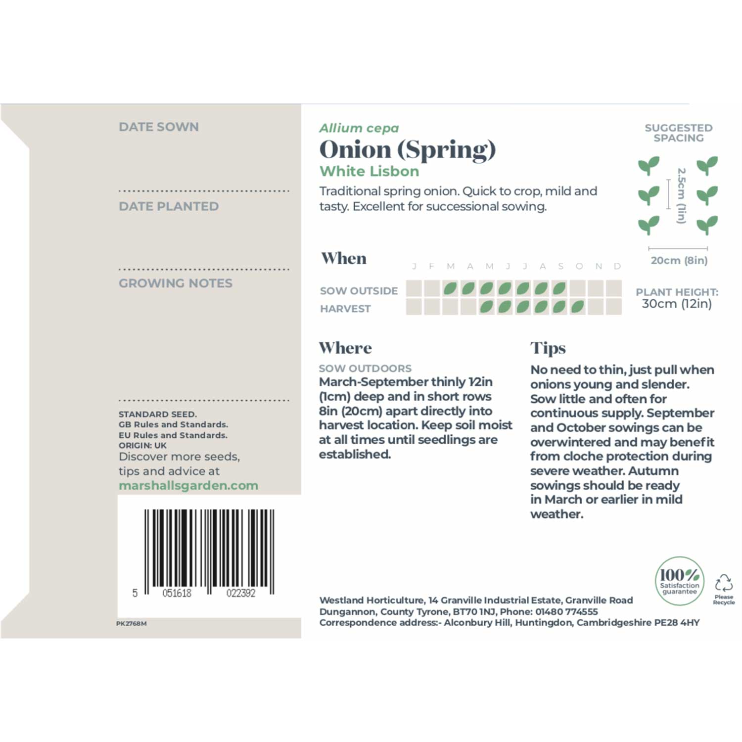 Spring Onion White Lisbon | 750 Seeds | Green & White