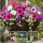 The Ready-to-Plant Summer Basket Kit - 2 baskets | Blue & Pink
