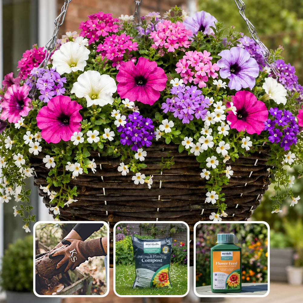 The Ready-to-Plant Summer Basket Kit - 2 baskets | Blue & Pink